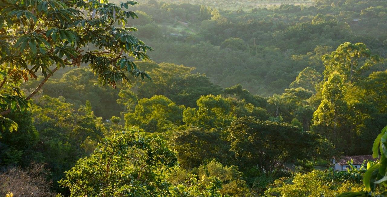 Cerrado Lodge Бразиліа Екстер'єр фото